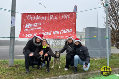 christmas-run-2024-188