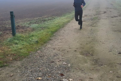 christmas-run-2024-285
