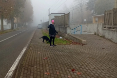 christmas-run-2024-375