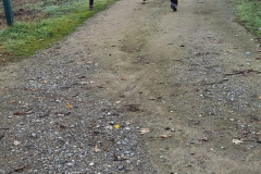 christmas-run-2024-396