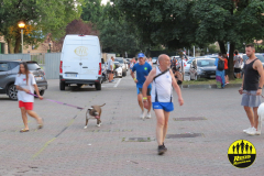 Summer_Run_2024_5842