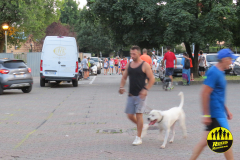 Summer_Run_2024_5844