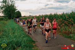 Summer-Run-2025-235