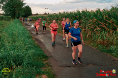 Summer-Run-2025-325