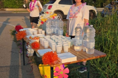 Summer_Run_2026_549